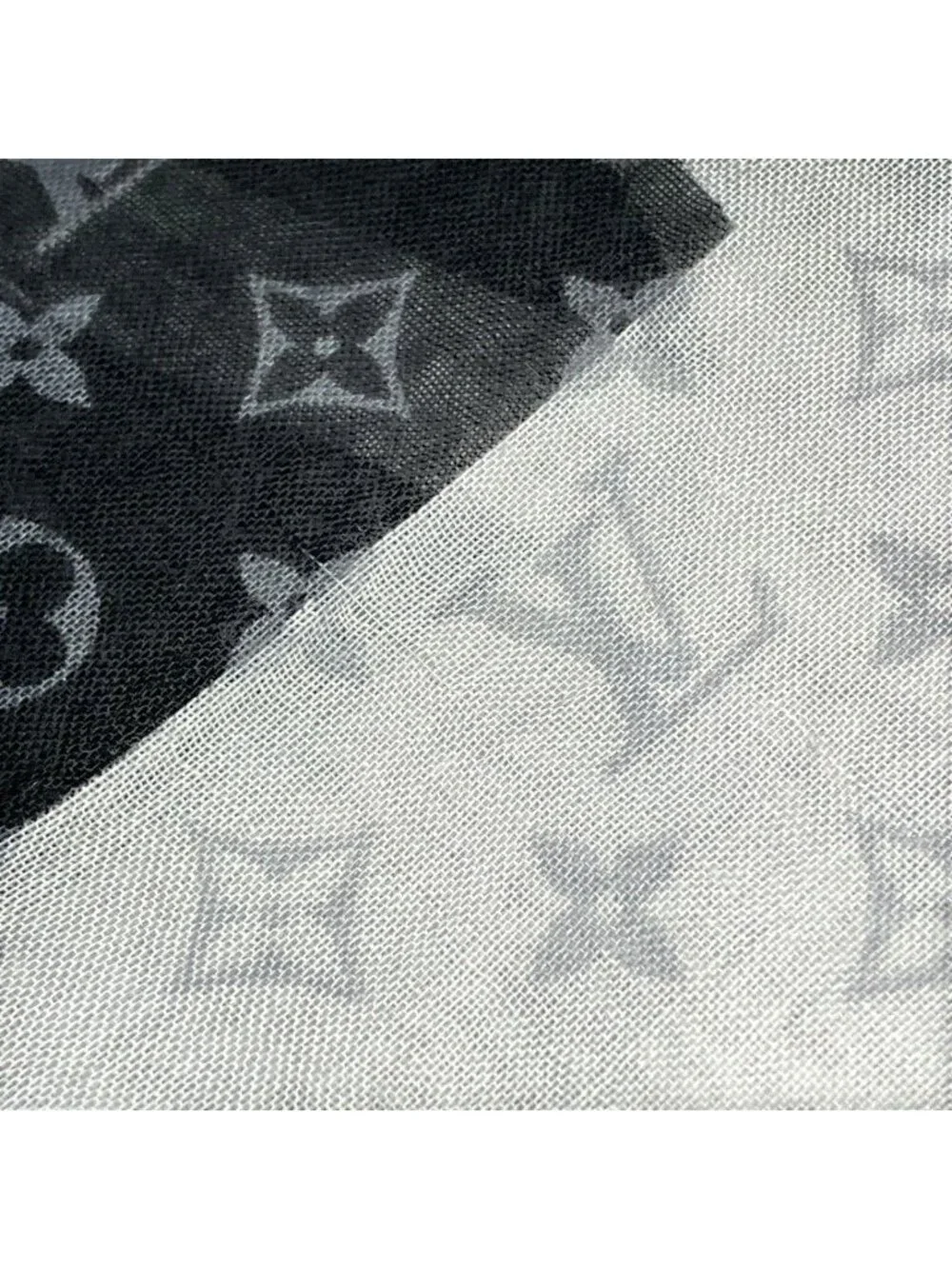 Louis Vuitton brand louis